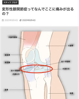 野球肘 競技復帰への治療は早めに 投球禁止期間でできることも